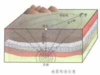 地震構造