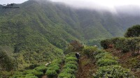 九龍村[廣東省梅州市梅縣區梅南鎮下轄村]