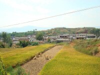 鳳尾村[雲南省臨滄鎮康縣鳳尾鎮下轄村]