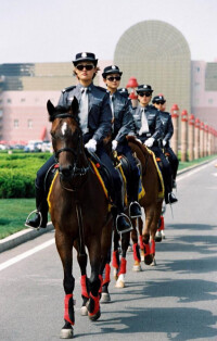 大連女子騎警大隊