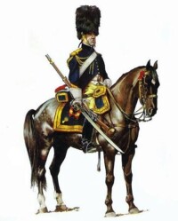騎士[歐洲中世紀的社會階層受過訓練的騎兵]