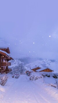 雪景