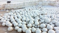 俄羅斯海岸現神秘雪球堆