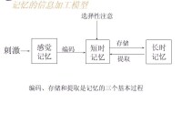 感覺記憶