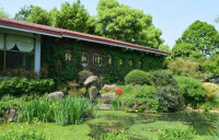 中國茶葉博物館