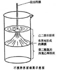 界面縮聚