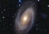 M81