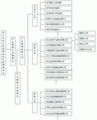 華中科技大學校辦產業資產結構示意圖