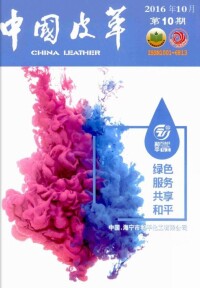 《中國皮革》期刊圖冊