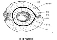 結構圖示