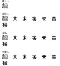 榛[中國漢字]