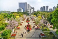 中山公園的四季繁花