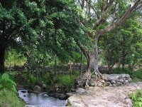 雲禮石頭村