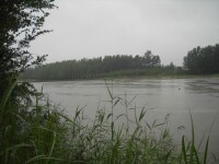 2011年7月3日墨水河洪水