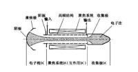 微波管典型結構示意圖