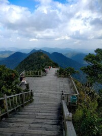 海南尖峰嶺國家森林公園