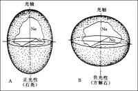 一軸晶光率體