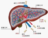 亞臨床肝癌