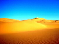 庫布齊沙漠