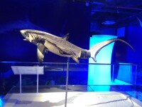 生命奧秘博物館“海洋之魂”展廳