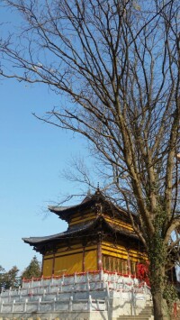 慈雲寺