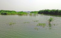 金沙湖生態旅遊風景區