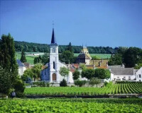 勃艮第葡萄酒產區風貌