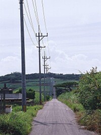 島上鄉村道路