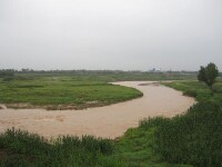 閻良區段河道景觀