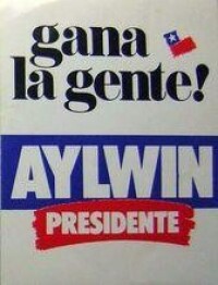 艾爾文競選總統時的競選海報