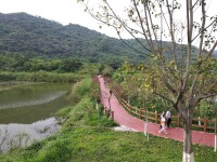 黃山魯森林公園