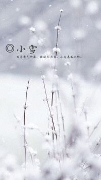 11月[月份]