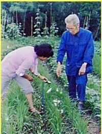 1984年候光炯在相嶺搞旱地自然免耕研究
