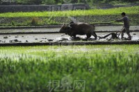 后坪鎮圖集