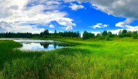 伊圖裡河國家濕地公園