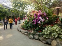 北京植物園展覽溫室外景