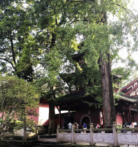 梵音寺