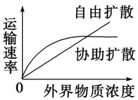 被動轉運