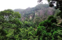 九龍村[福建永安市上坪鄉下轄村]