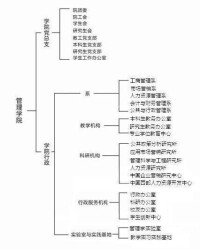 西南民族大學管理學院機構設置