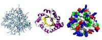 三種顯示蛋白質三維結構的方式