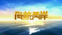 中央電視台中文國際頻道—《海峽兩岸》欄目