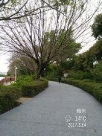 劍英公園47