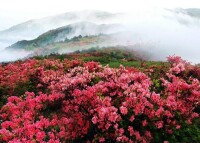 聖井山[江西省鷹潭市聖井山]