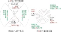 粒子-真空相互作用-內部結構模型圖