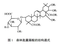 匙羹藤酸（GA）結構通式