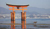 矗立在瀨戶內海的嚴島神社鳥居