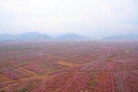 前北宮小金山風景區