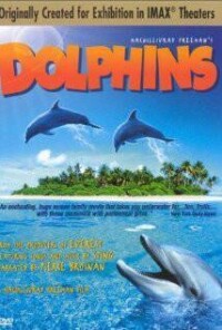 海豚(2000)