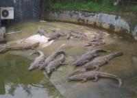 金華動物園